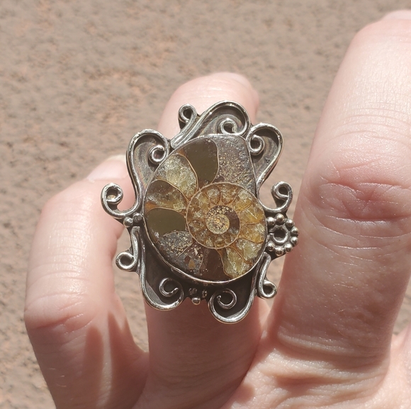 New Unique Ammonite 925 Silver Ring. - Picture 8 of 12